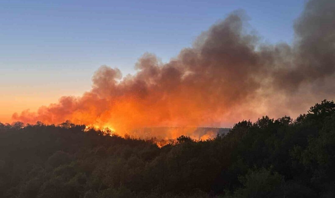 Beykoz’da bugün gündüz saatlerinde başlayan ve zorlu bir şekilde kontrol