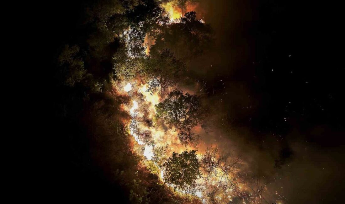 İstanbul’un Beykoz ilçesindeki ormanlık alanda çıkan yangın, ekiplerin çabalarıyla 9