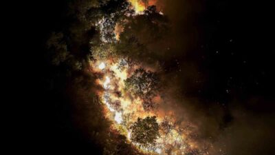 İstanbul’un Beykoz ilçesindeki ormanlık alanda çıkan yangın, ekiplerin çabalarıyla 9