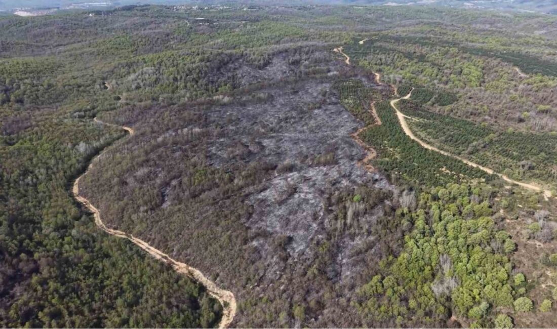 Beykoz’daki orman yangınıyla ilgili detaylar gün ağarınca netlik kazandı. Dün