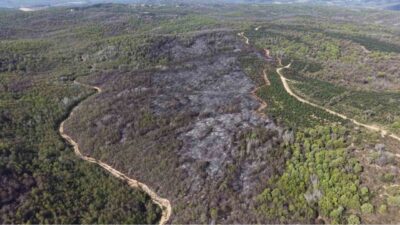Beykoz’daki orman yangınıyla ilgili detaylar gün ağarınca netlik kazandı. Dün