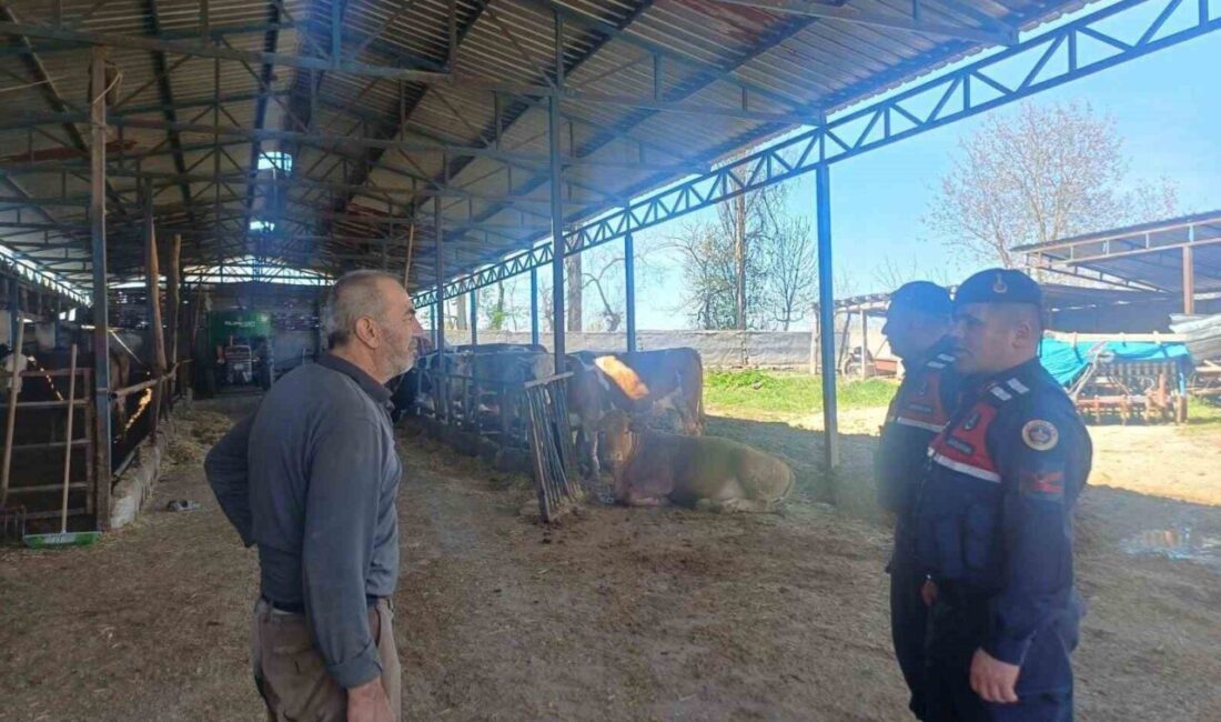 Bilecik’te, hayvan hırsızlığı ve dolandırıcılık konularında bilgilendirme toplantısı düzenlendi. Bilecik