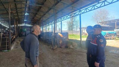 Bilecik’te, hayvan hırsızlığı ve dolandırıcılık konularında bilgilendirme toplantısı düzenlendi. Bilecik