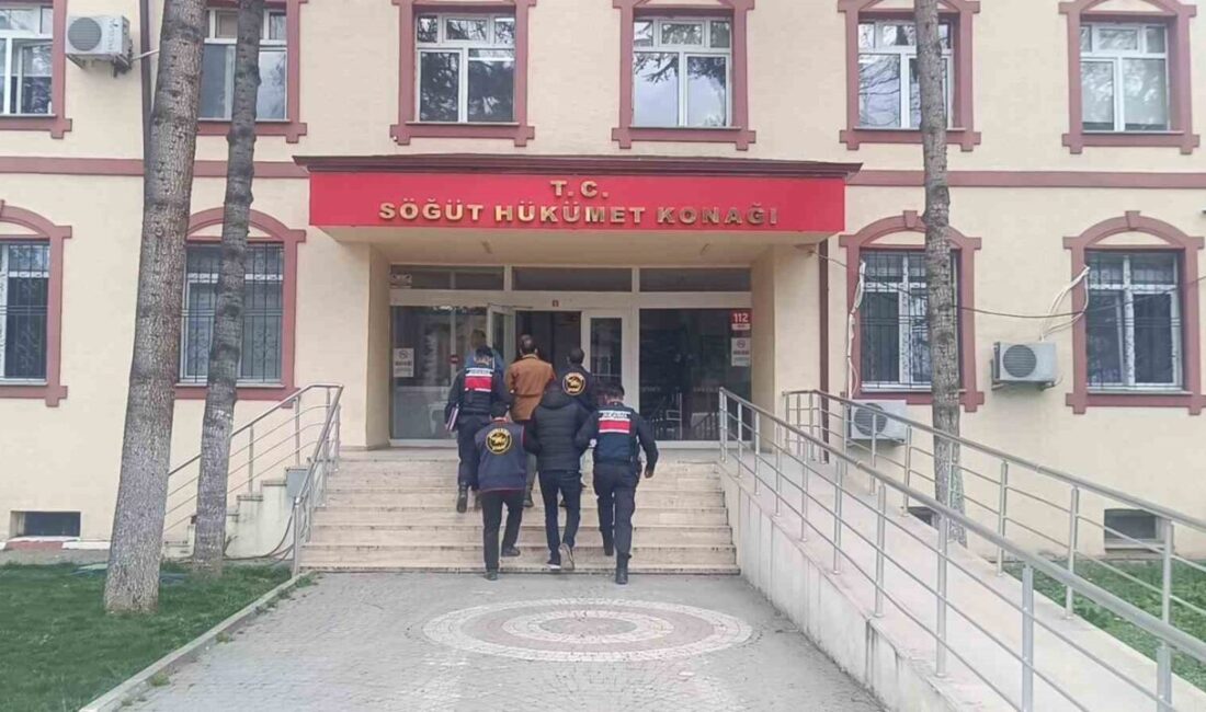 Bilecik’te, yaklaşık 670 bin TL değerindeki elektrik kablolarının çalınması olayıyla