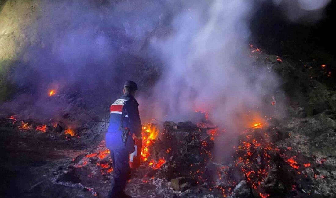 Bilecik’te, Selbükü köyü yakınlarında otluk alanda meydana gelen yangın, ekiplerin