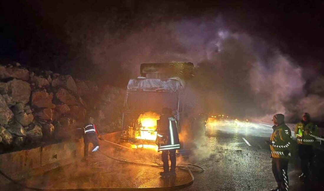 Bilecik’te bir tır aracı seyir halindeyken aniden alev aldı ve