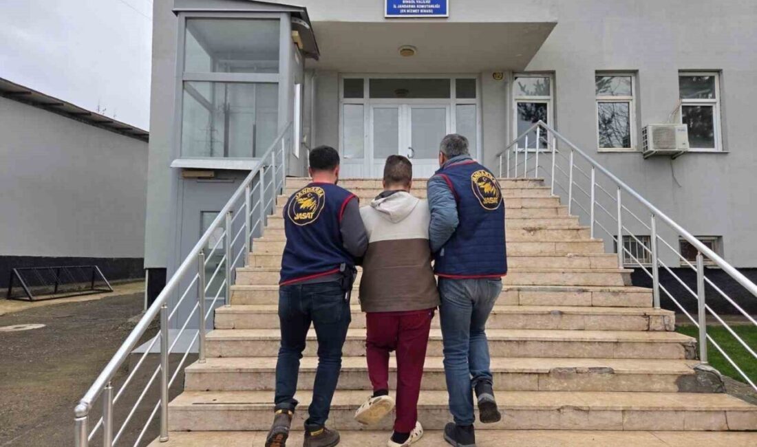 Bingöl’de, jandarma ekiplerinin gerçekleştirdiği operasyonlar sonucunda kesinleşmiş hapis cezaları bulunan