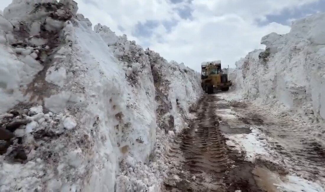 Bingöl’ün köy ve mezralarında, nisan ayının ortasında olunmasına rağmen, hâlâ