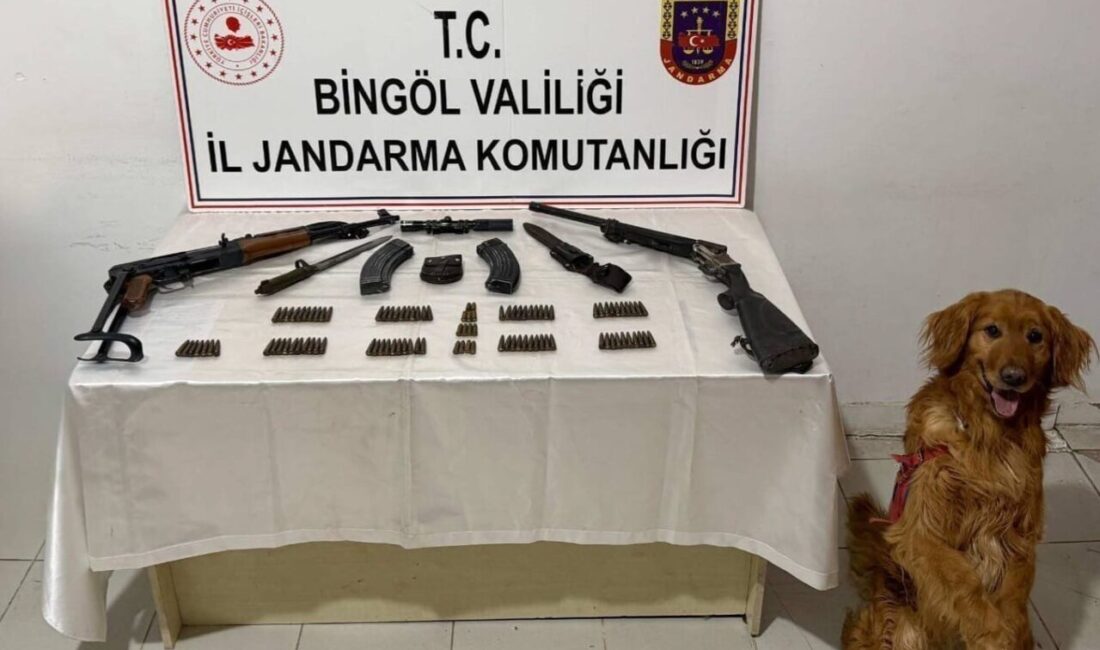 Bingöl’ün Karlıova ilçesinde jandarma ekipleri tarafından gerçekleştirilen bir operasyonda silah