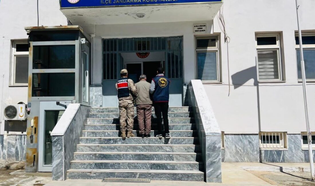 Birecik ilçesinde aranan iki kişi sonunda yakalandı. Şanlıurfa İl Jandarma
