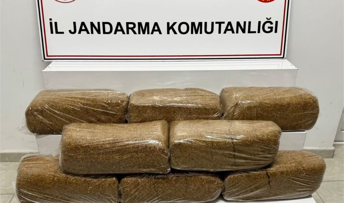 Yozgat’ın Boğazlıyan ilçesinde jandarma ekiplerince düzenlenen operasyonda kaçak tütün ele