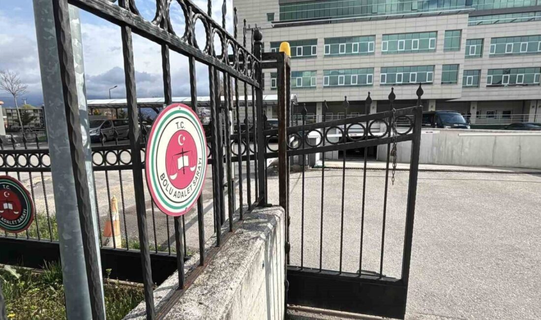 Bolu ilinde jandarma ekiplerinin sabah saatlerinde düzenlediği operasyonda gözaltına alınan