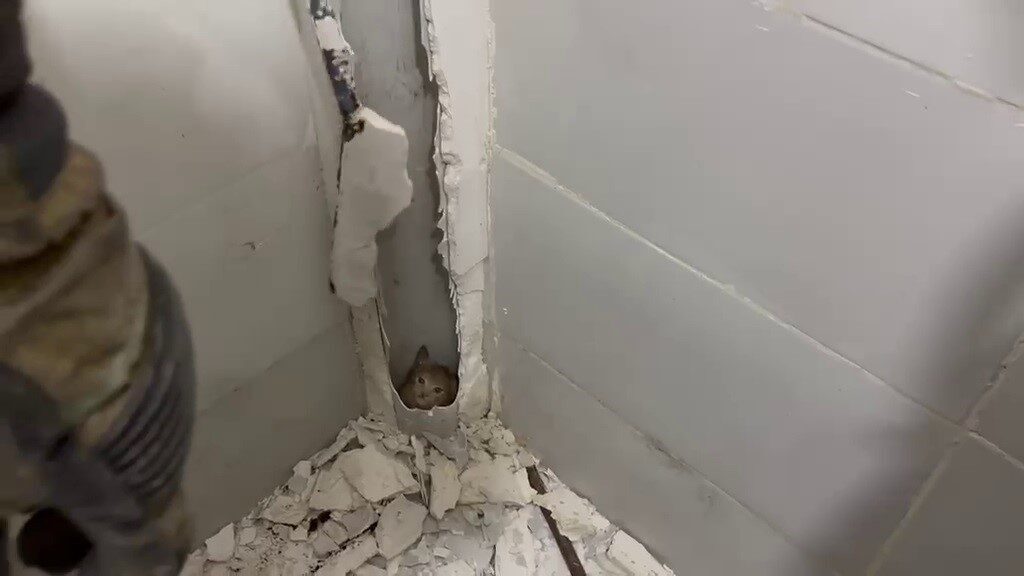 Hatay’ın İskenderun ilçesinde, bir evin hava tahliye borusuna sıkışıp kalan