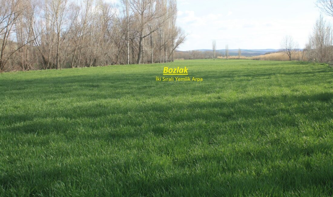 Yozgat İl Tarım ve Orman Müdürlüğü tarafından Topaç ve Yukarıelmahacılı