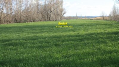 Yozgat İl Tarım ve Orman Müdürlüğü tarafından Topaç ve Yukarıelmahacılı