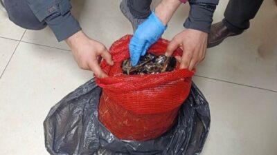 Bursa ve Balıkesir’de yapılan eş zamanlı operasyonda, halk sağlığını tehlikeye