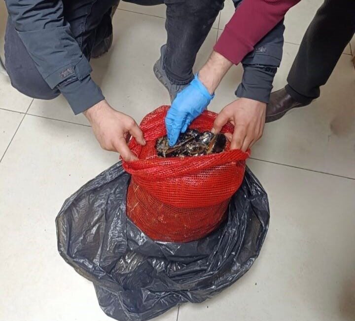 Bursa ve Balıkesir’de yapılan eş zamanlı operasyonda, halk sağlığını tehlikeye