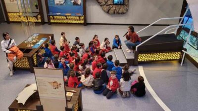 Bursa Ticaret ve Sanayi Odası (BTSO) liderliğinde hayata geçirilen Gökmen