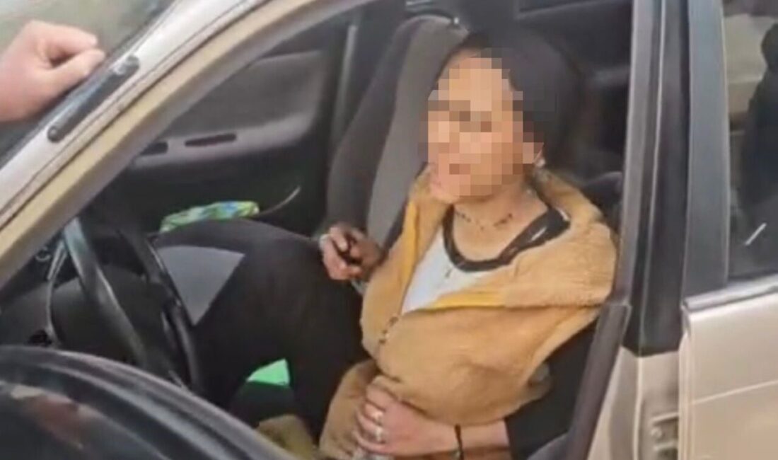 Bursa’nın Orhangazi ilçesinde, bir kadının bir otomobile girerek aracı çalmaya