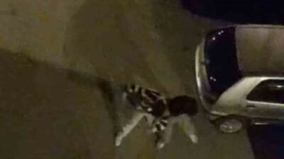 Bursa’da, yabancı uyruklu iki kişi arasında sokak ortasında meydana gelen