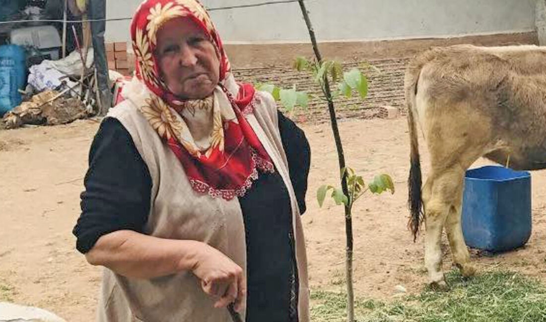 Yerköy ilçesine bağlı Çakırhacı köyü sakinlerinden Cafer Bodur’un eşi Hanife