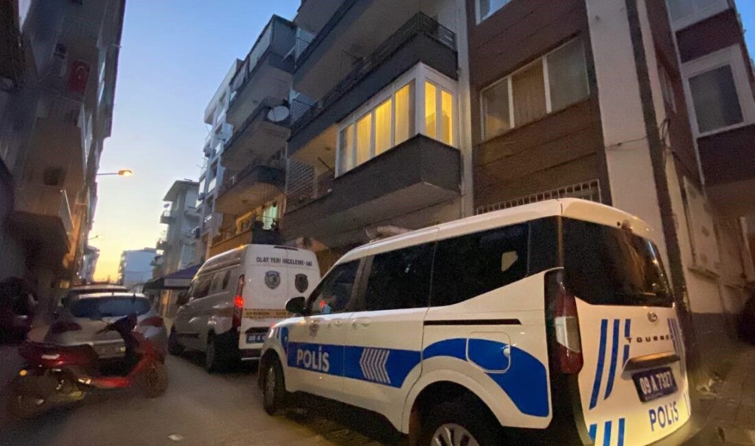 Efeler ilçesindeki bir apartmanda temizlik yapan bir kadın, cam silerken