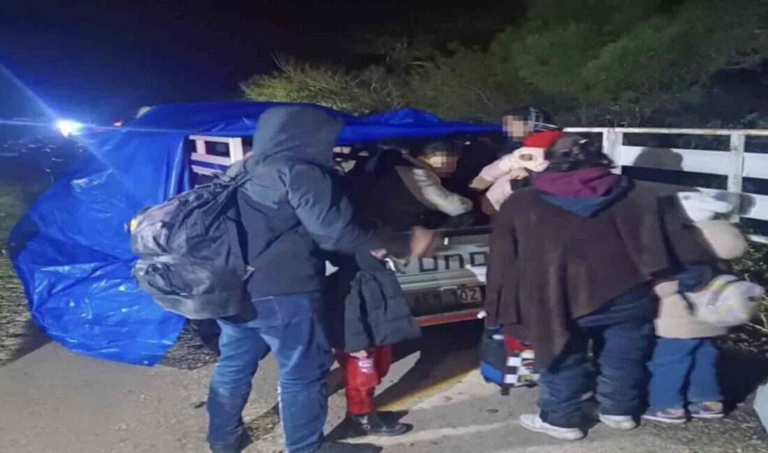 Çanakkale’de düzenlenen operasyonda 77 kaçak göçmen yakalanırken, 2 organizatör tutuklandı.