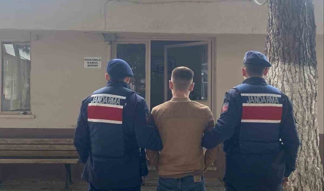 Çanakkale’de yapılan jandarma operasyonlarında farklı suçlardan aranan 15 kişi tutuklandı.