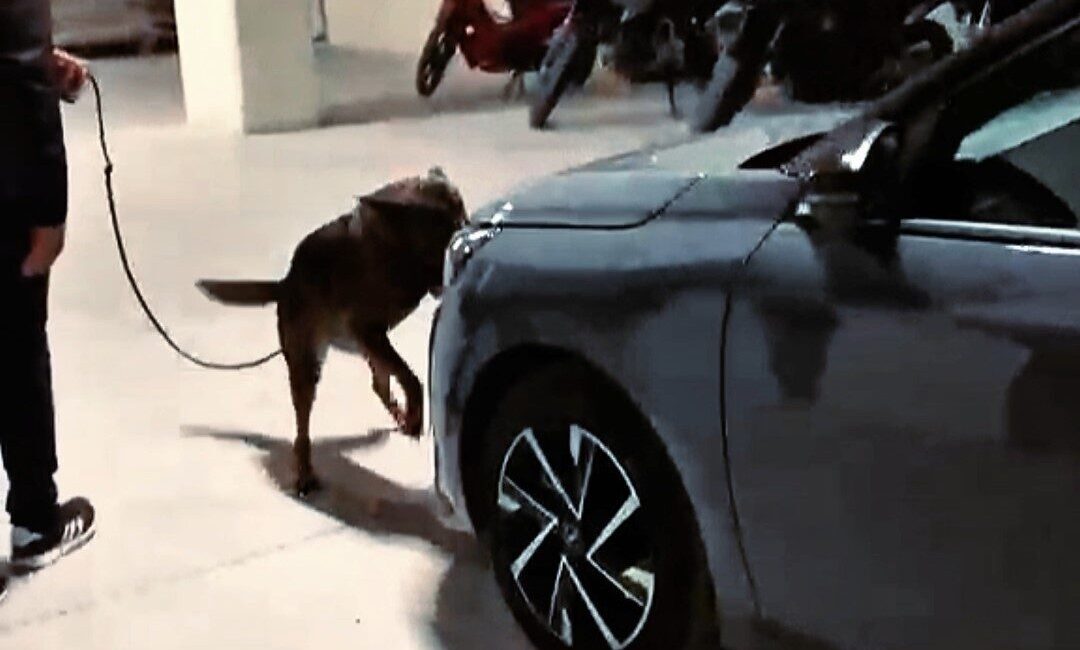 Emniyet ekipleri tarafından Çanakkale’de gerçekleştirilen huzur uygulamalarında 97 kişi, farklı