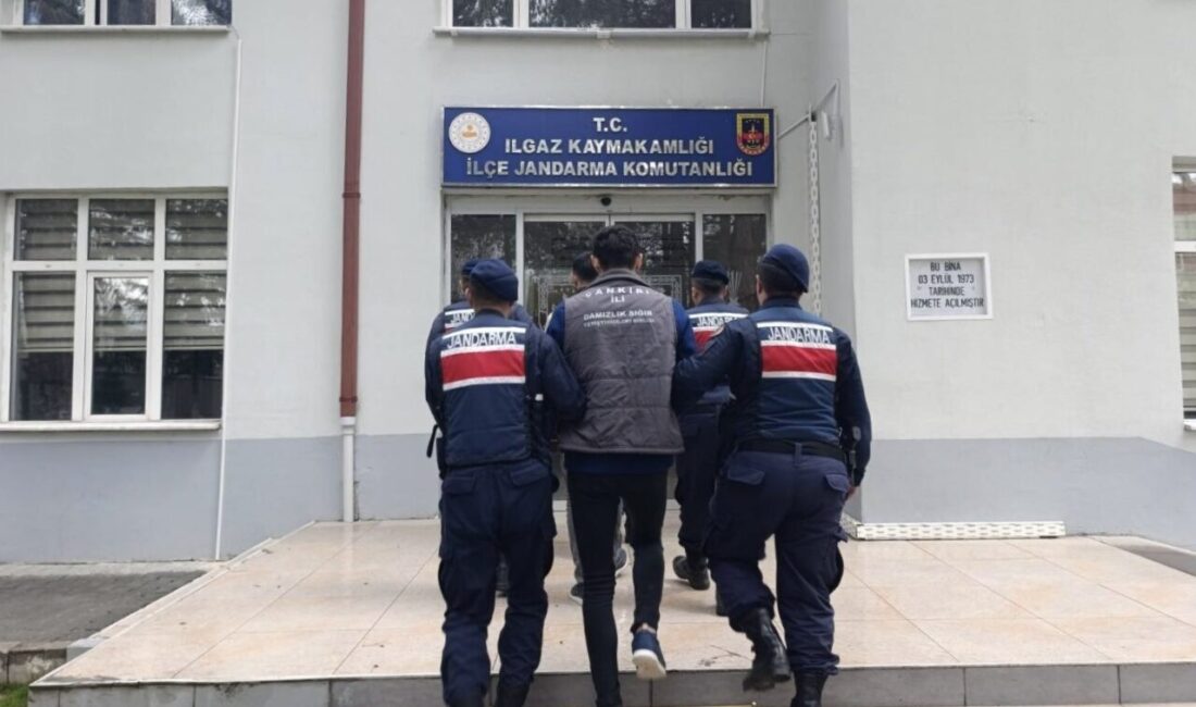 Ilgaz ilçesinde yaşanan olayda büyükbaş hayvan hırsızlığı yapan 2 şüpheli,