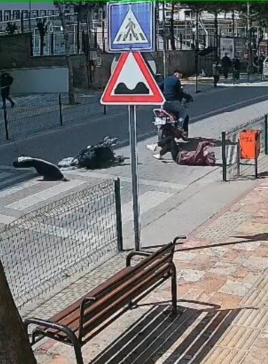 Çaycuma ilçesinde meydana gelen trafik kazasında, yaya geçidinden karşıya geçmeye