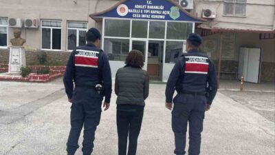 Aydın’ın Efeler ve Nazilli ilçelerinde, jandarma ekipleri tarafından çeşitli suçlardan