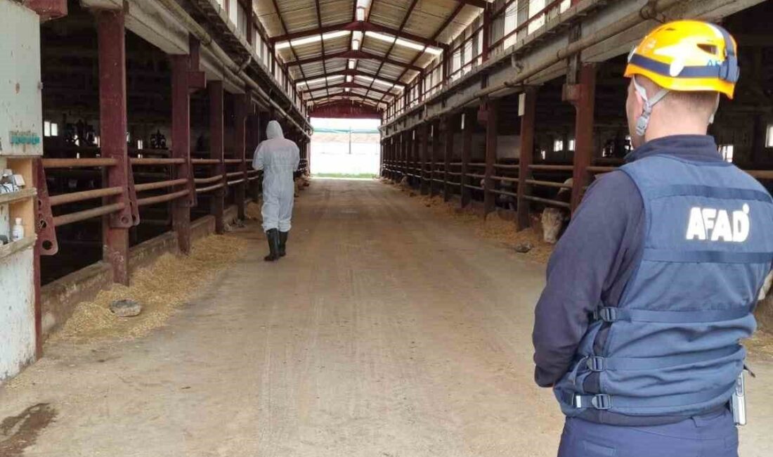 Çorum’daki bir çiftlikte meydana gelen gaz sızıntısı olayında, bir işçi