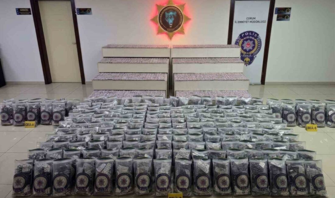 Çorum’un Osmancık ilçesinde polis ekipleri tarafından gerçekleştirilen operasyonda, şüpheli bir