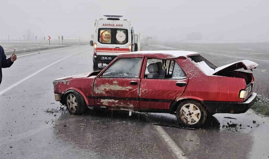 Çorum’un Alaca ilçesinde bir otomobilin yön tabelasına çarpması sonucu sürücü