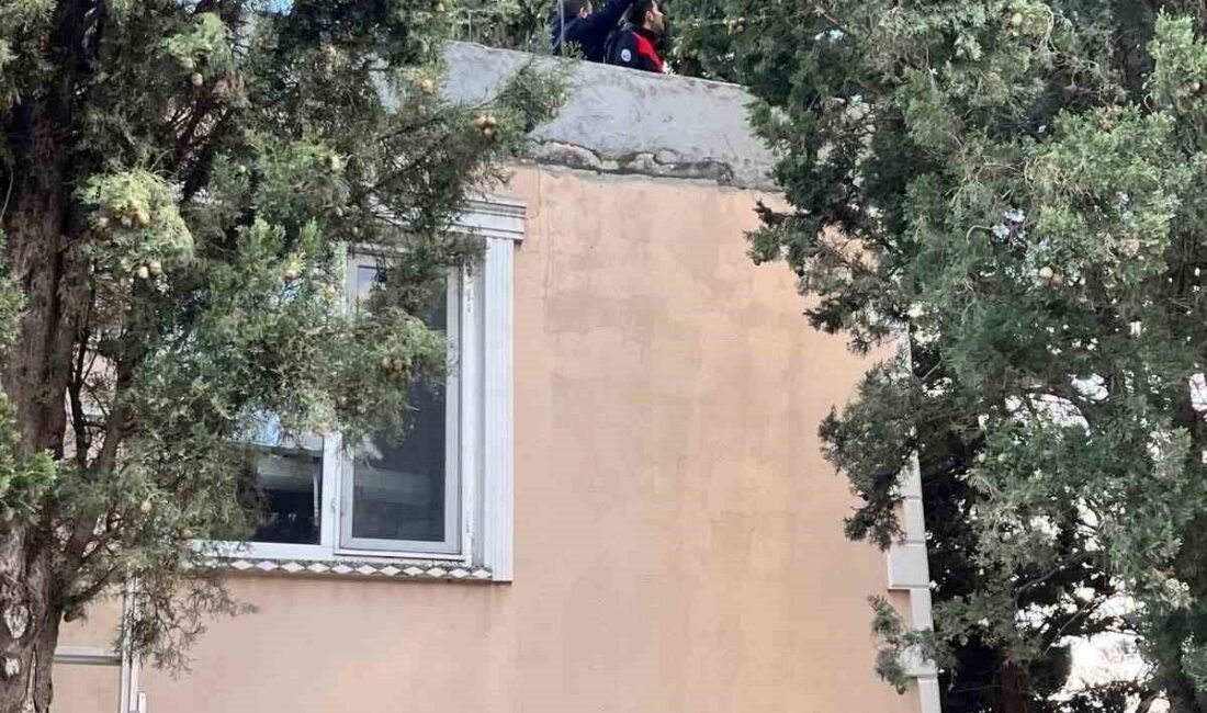 Hatay’ın Defne ilçesine bağlı Aknehir Mahallesi’nde bir ağaçta mahsur kalan