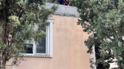 Hatay’ın Defne ilçesine bağlı Aknehir Mahallesi’nde bir ağaçta mahsur kalan