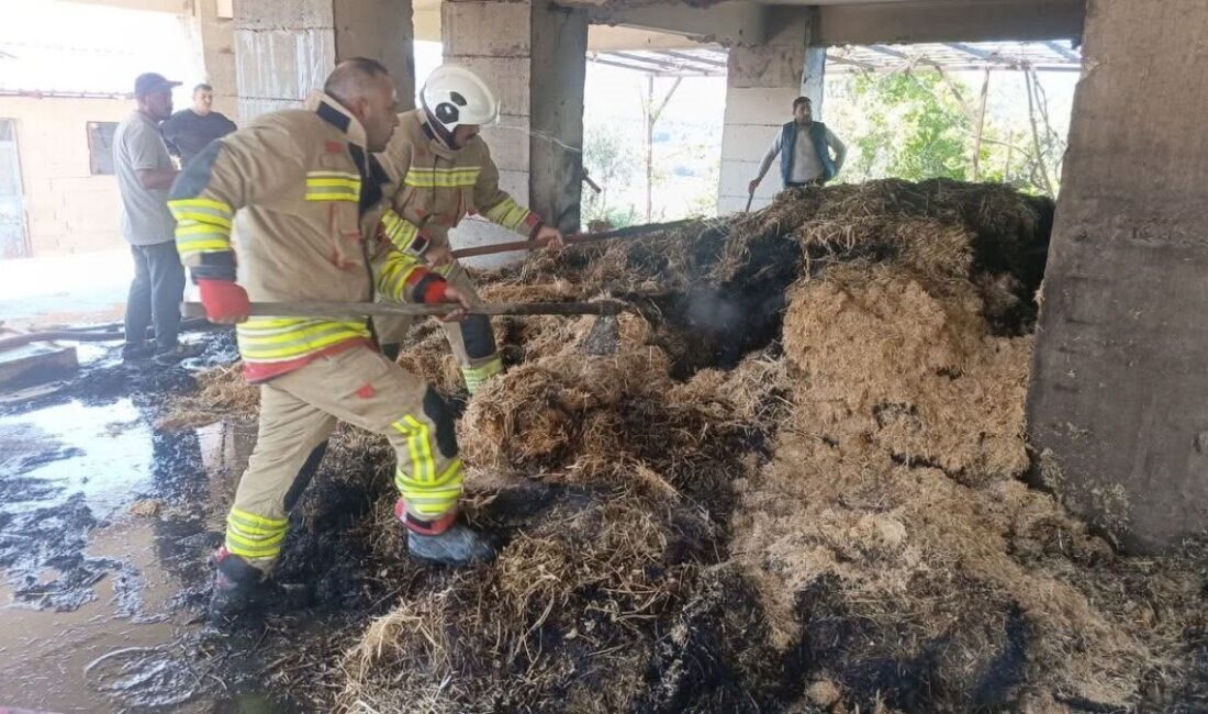 Defne ilçesinde çıkan samanlık yangını hızlı bir şekilde kontrol altına