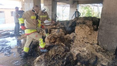 Defne ilçesinde çıkan samanlık yangını hızlı bir şekilde kontrol altına