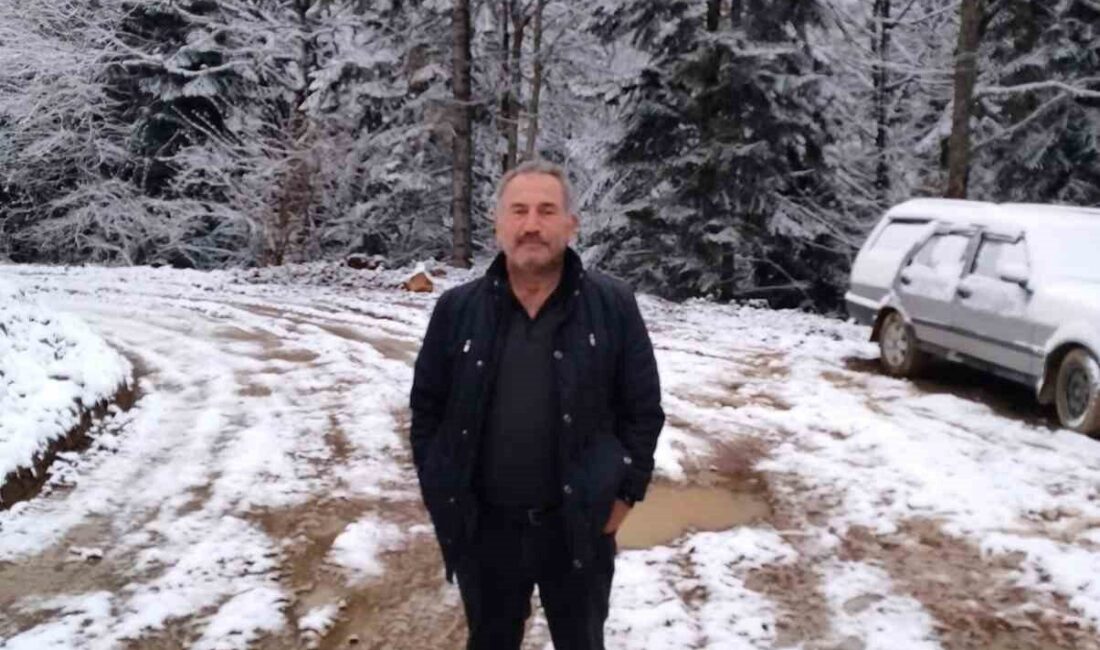 Yenice ilçesinde meydana gelen bir olayda, ormanlık alanda çalışan bir