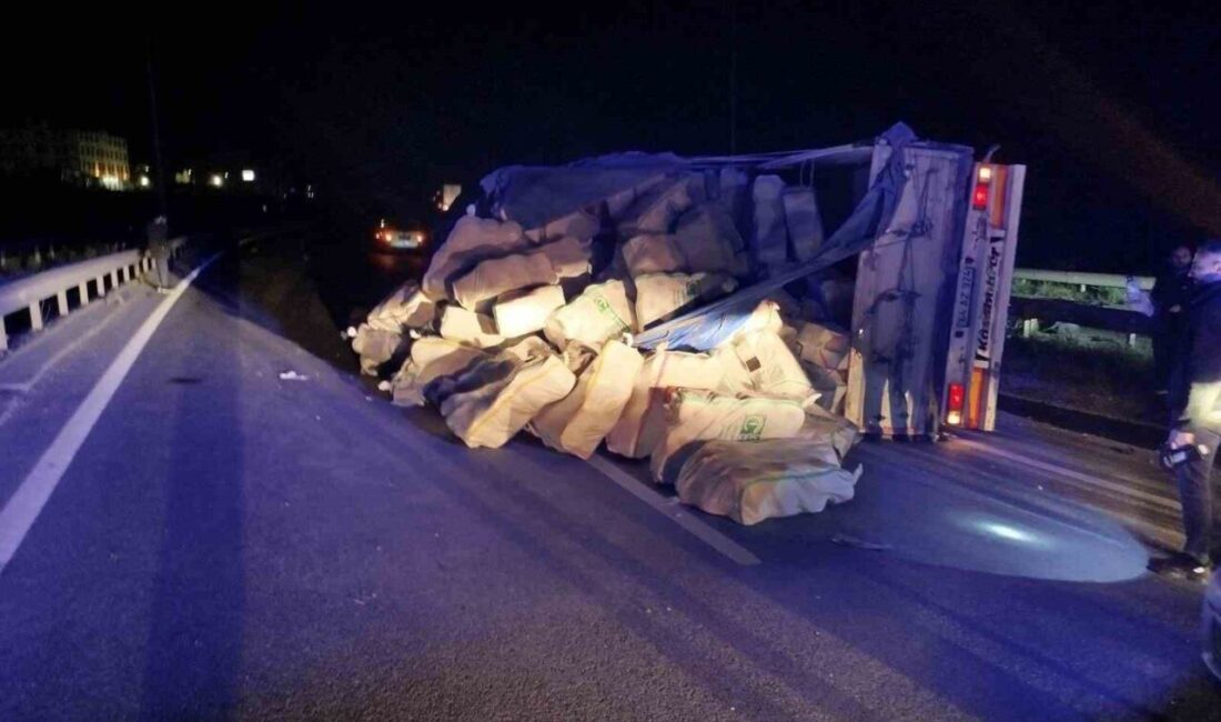 Bilecik ilinde meydana gelen trafik kazasında, bir tırın direksiyon kontrolünü