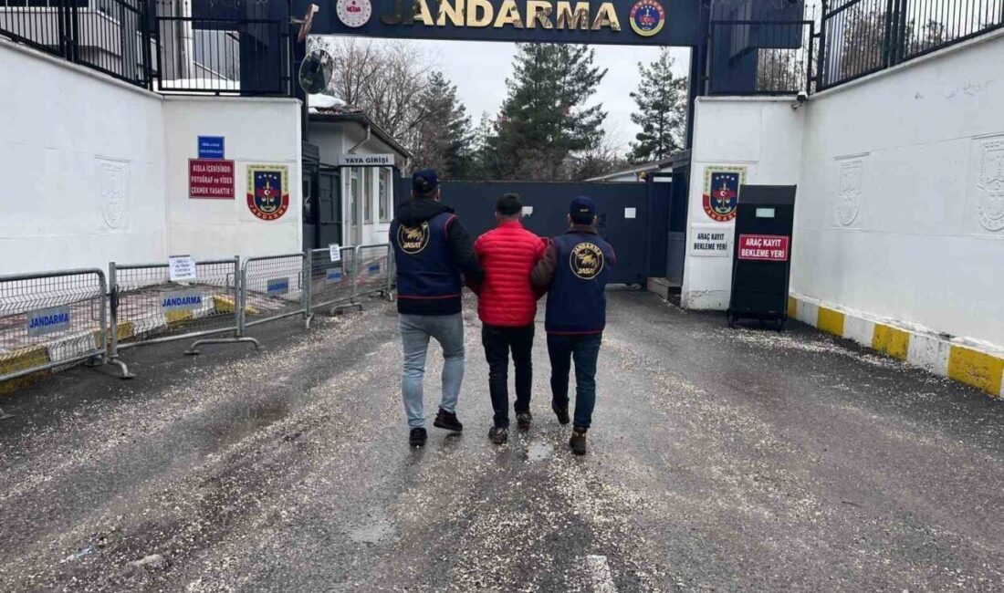 Diyarbakır İl Jandarma Komutanlığı tarafından gerçekleştirilen operasyonlarda kesinleşmiş hapis cezaları