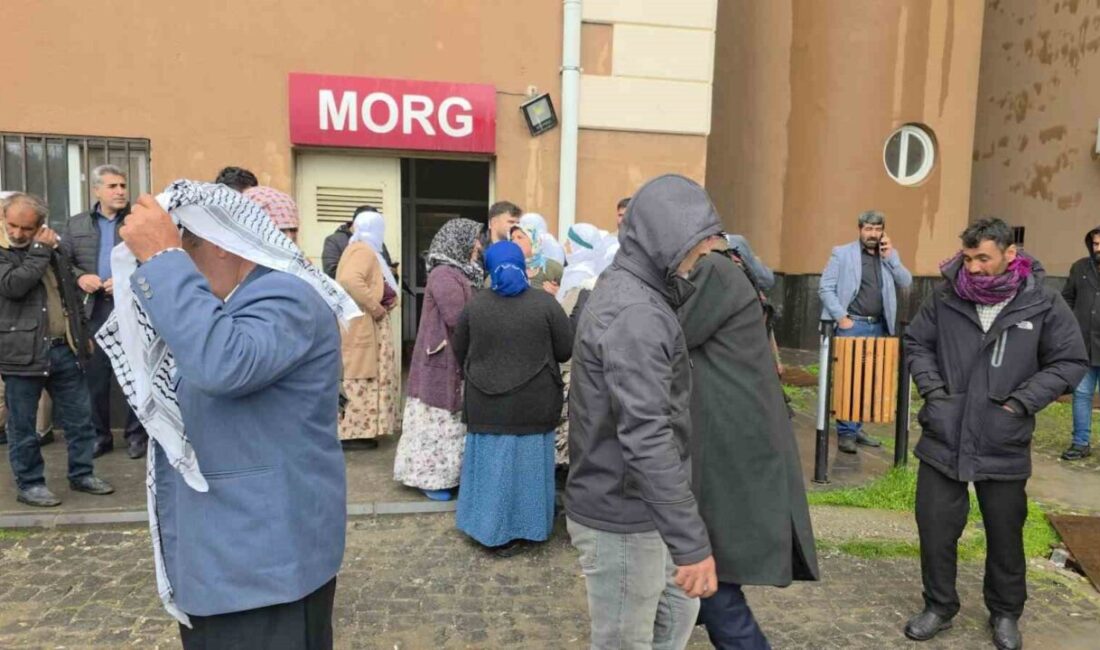 Diyarbakır’ın Ergani ilçesinde yaşanan bir olayda, yıldırım çarpması sonucu ağır