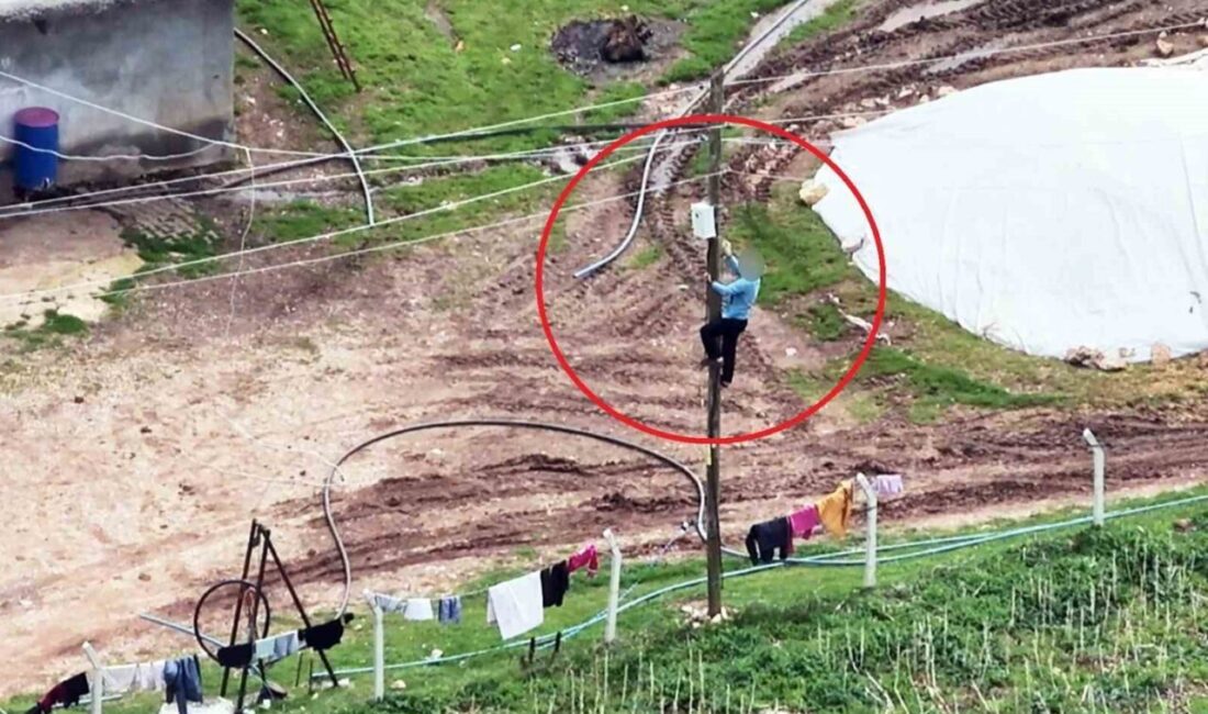 Dicle Elektrik, Sarıerik Mahallesi’nde tespit edilen kaçak elektrik hatlarını tespit