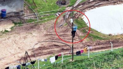 Dicle Elektrik, Sarıerik Mahallesi’nde tespit edilen kaçak elektrik hatlarını tespit