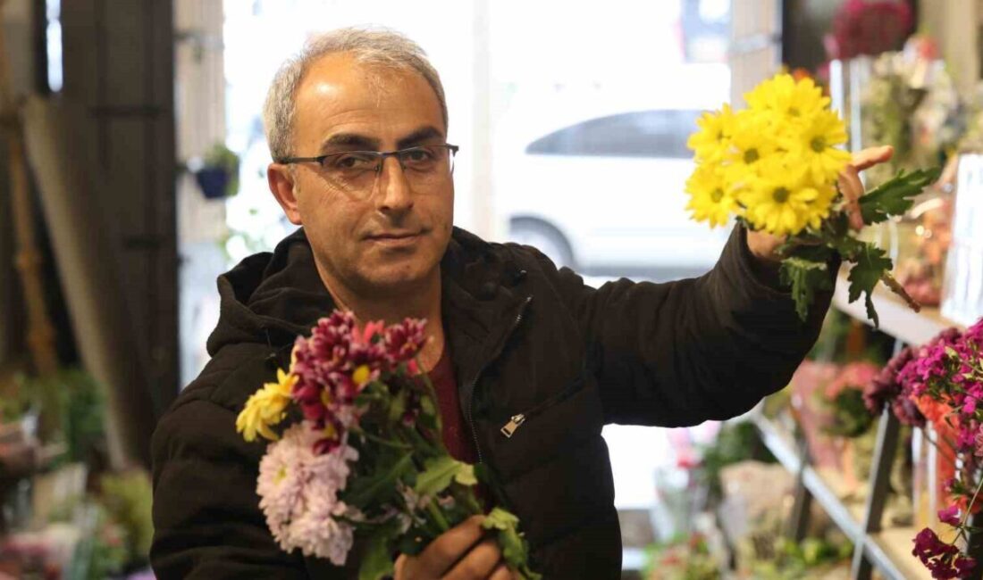 Kırşehir’deki çiçekçiler, yaz sezonuna hazırlıklarını hızlandırıyor. Baharın gelmesiyle birlikte çiçek