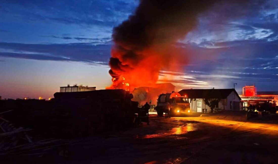 Paşaköy’deki bir kereste fabrikasında çıkan yangın, yağ kazanının patlaması sonucu