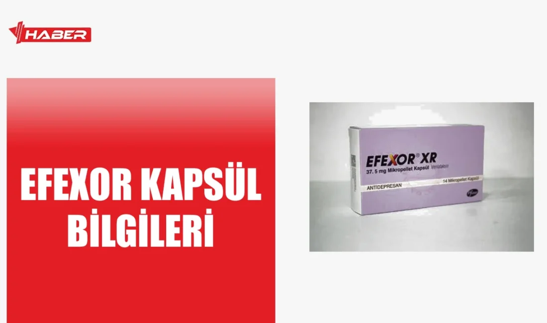 Efexor nedir, ne işe yarar, yan etkileri nelerdir? Kapsül formunda