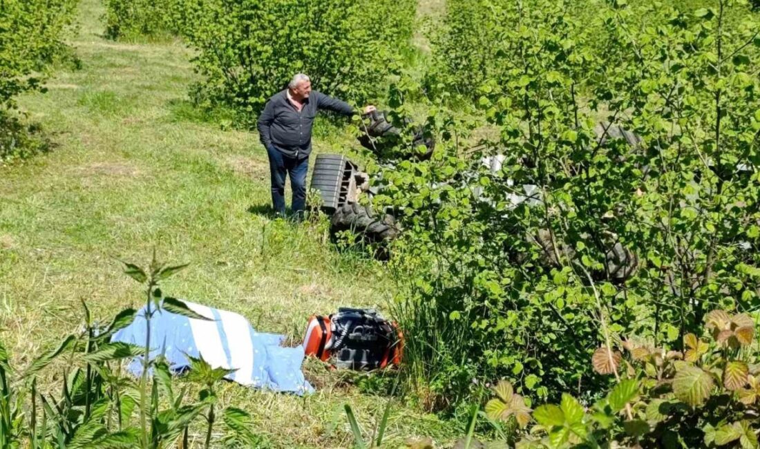 Sakarya’nın Karasu ilçesinde, bir emekli polis memuru bahçesinde ot biçerken