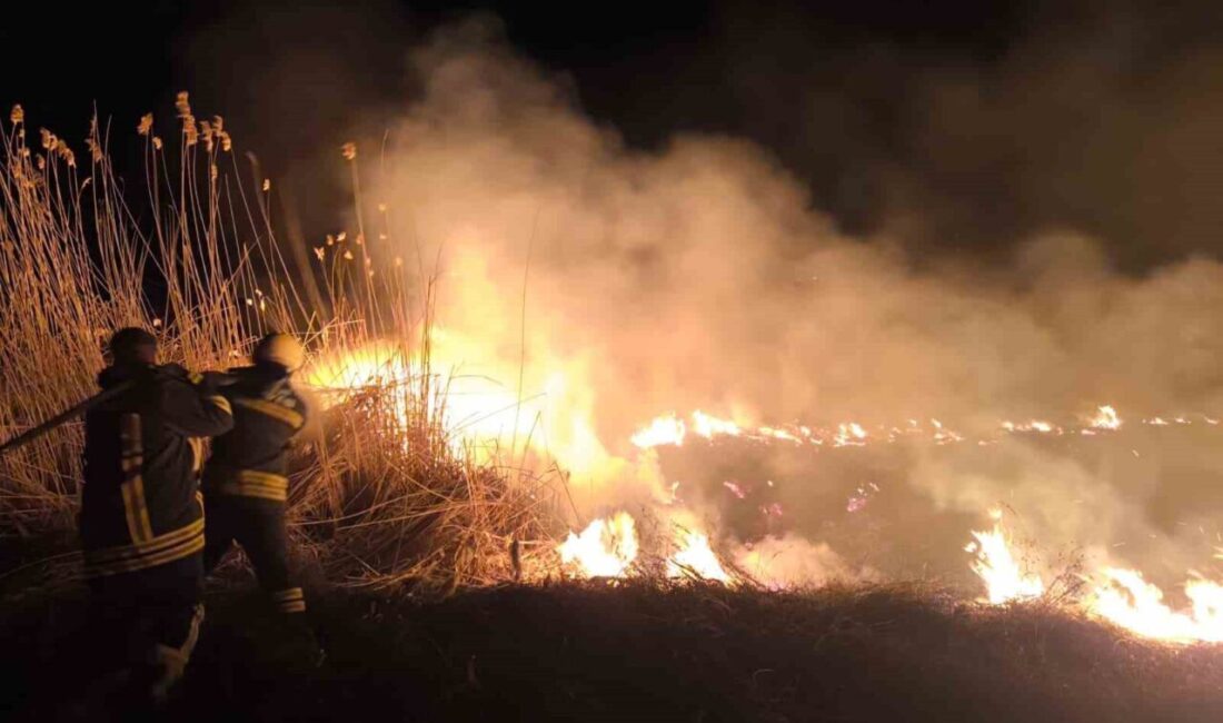 Erzincan’da anız yangını çıktı, ancak itfaiye ekiplerinin hızlı müdahalesi sayesinde